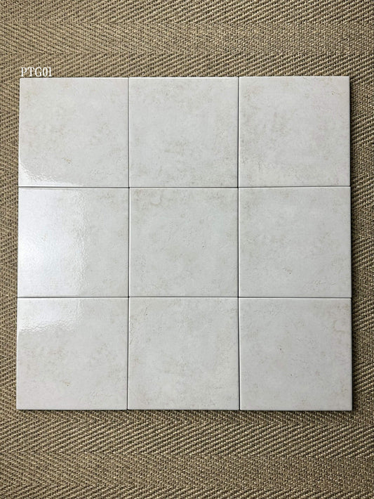 pt-g01