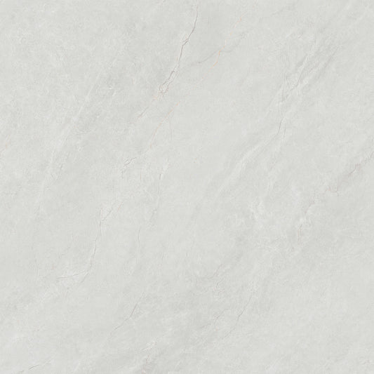 T8827
