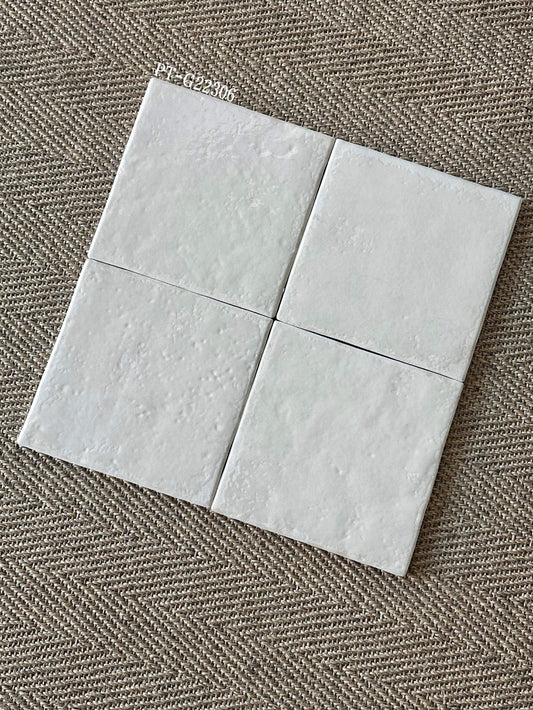 pt-g22306